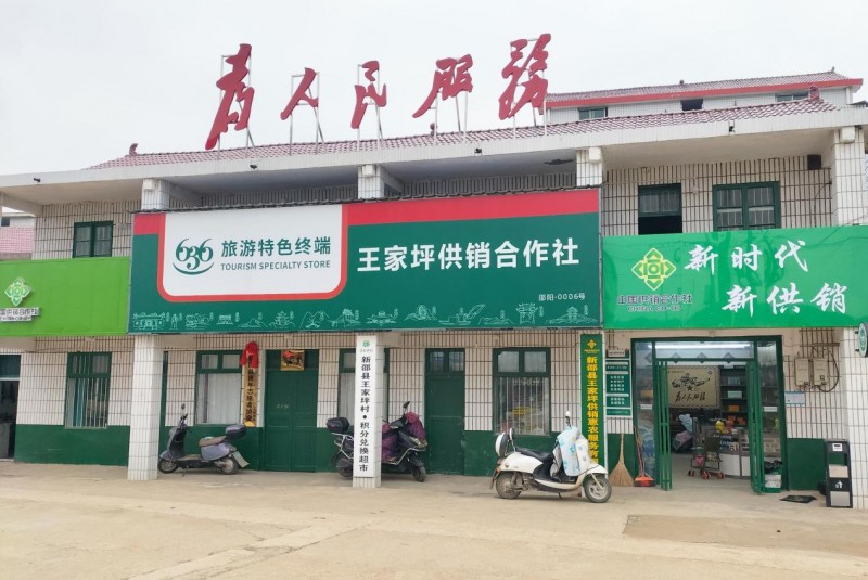 從“空心村”到打卡地——王家坪村的逆襲密碼